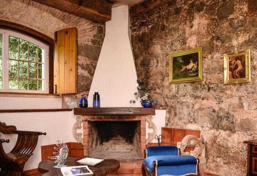 스탠다드 스튜디오 정원 전망, Quinta De Rio Alcaide