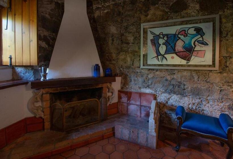 스탠다드 스튜디오 정원 전망, Quinta De Rio Alcaide