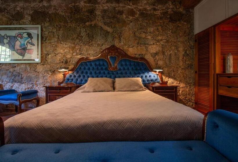 스탠다드 스튜디오 정원 전망, Quinta De Rio Alcaide