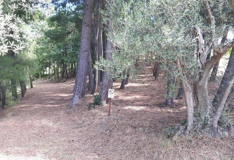 Номер Стандарт, La Casa In Campagna