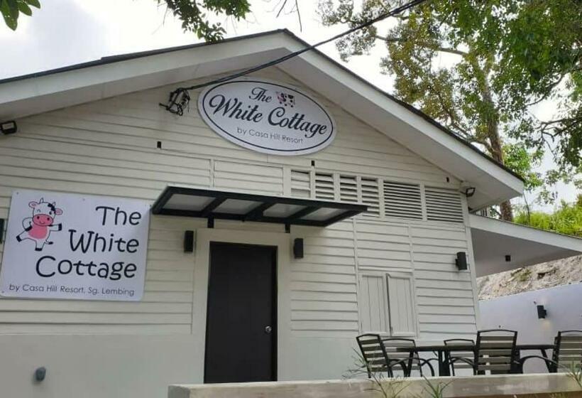 منزل 4 غرف نوم, Casa Hill Resort