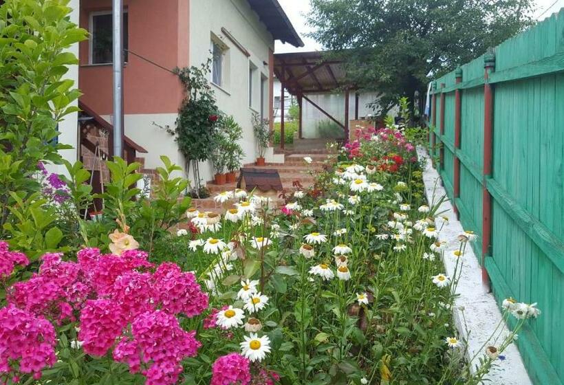 スタンダードルーム, Belvedere La Cristina