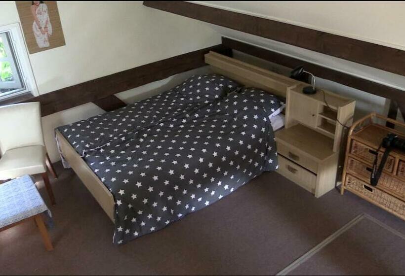 شقة غرفة واحدة, B & B Zazza