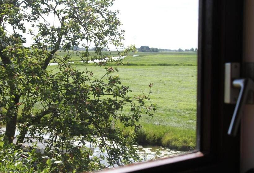 شقة غرفة واحدة, B & B Zazza