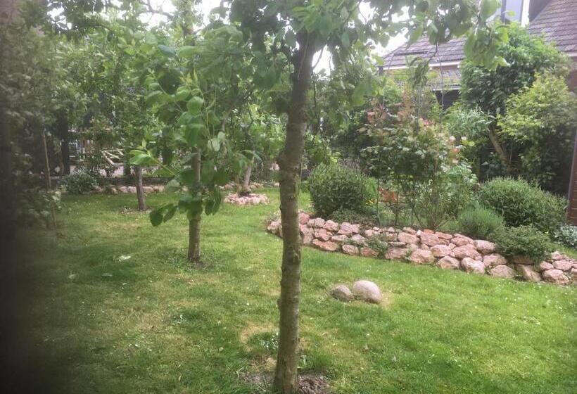 شقة غرفة واحدة, B & B Zazza