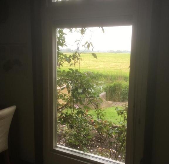 شقة غرفة واحدة, B & B Zazza