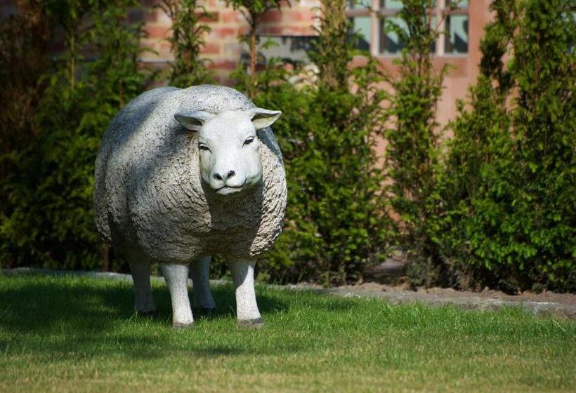 חדר דלוקס עם מרפסת טרסה, B&b Gielse Garden