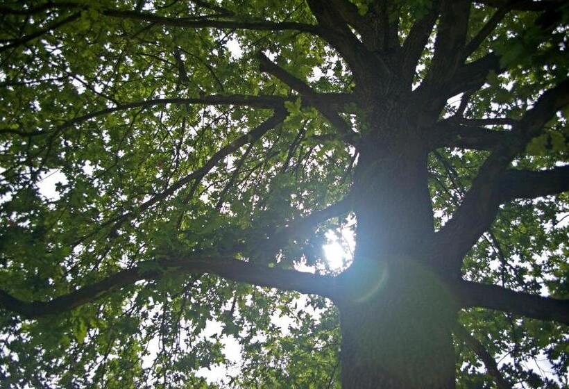 חדר דלוקס עם מרפסת טרסה, B&b Gielse Garden