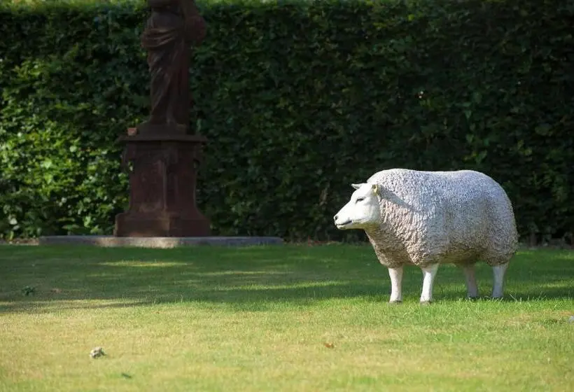 テラス付きデラックスルーム, B&b Gielse Garden