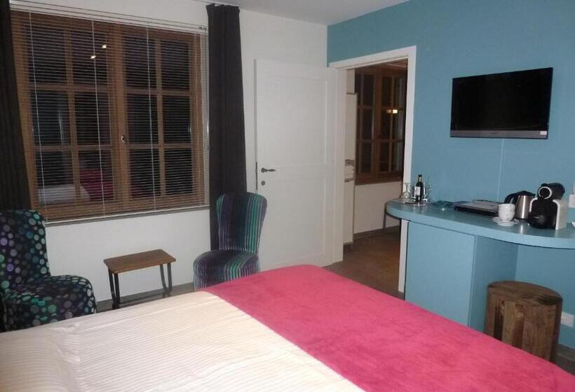 חדר סטנדרט מותאם לאדם עם מוגבלויות, B&b 't Hof Van Spiere