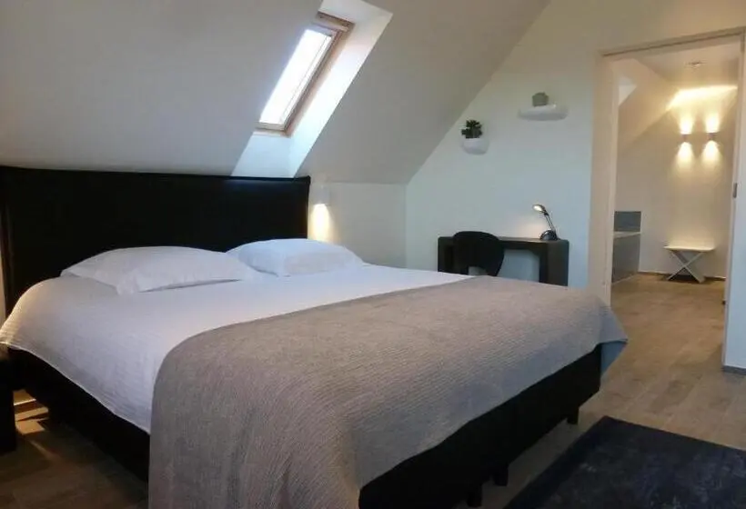 キングサイドベッドのスタンダードワンルーム, B&b 't Hof Van Spiere
