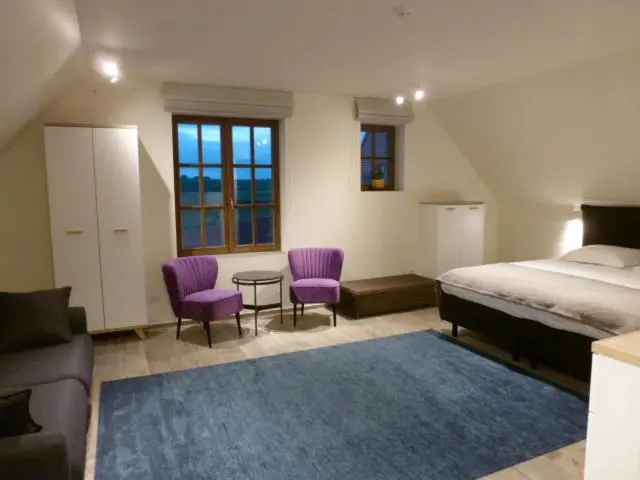 キングサイドベッドのスタンダードワンルーム, B&b 't Hof Van Spiere