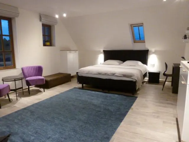 キングサイドベッドのスタンダードワンルーム, B&b 't Hof Van Spiere
