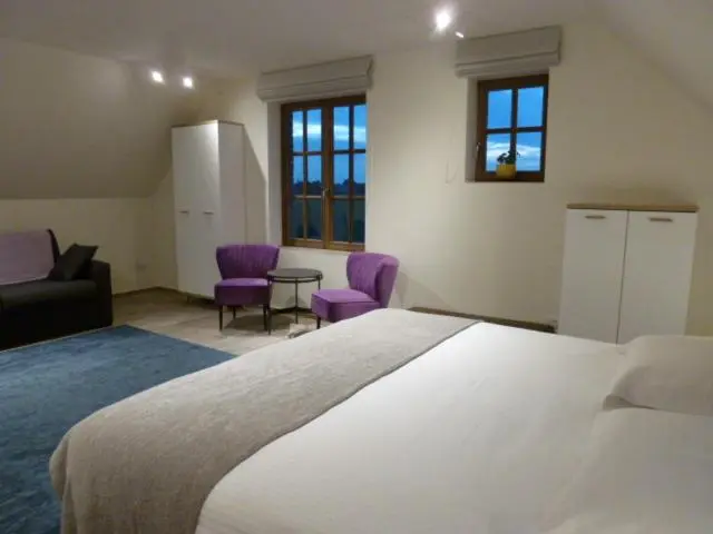 キングサイドベッドのスタンダードワンルーム, B&b 't Hof Van Spiere