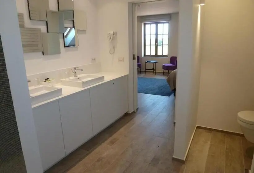 キングサイドベッドのスタンダードワンルーム, B&b 't Hof Van Spiere