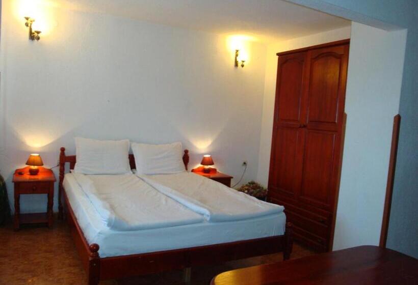 إستوديو قياسى مزودة بتراس, Family Hotel Diana