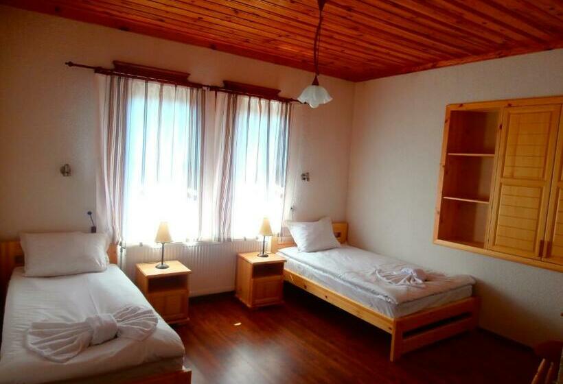 Номер Стандарт, Mitnitsa And Tkzs Biliantsi