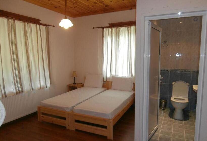 Номер Стандарт, Mitnitsa And Tkzs Biliantsi