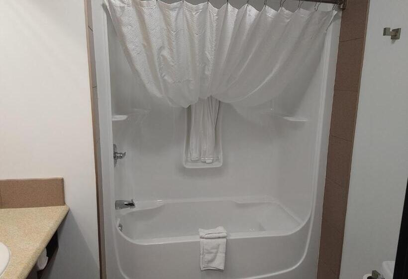 デラックスルーム, Hôtel Napoléon