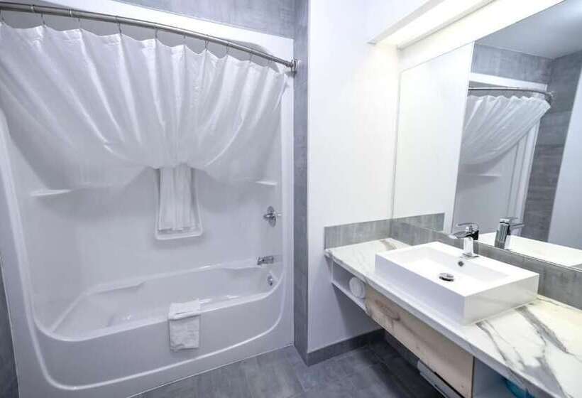 Люкс Повышенной Комфортности, Hôtel Napoléon