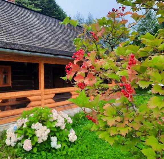 Chalet 1 Soveværelse, Stara Khata карпати