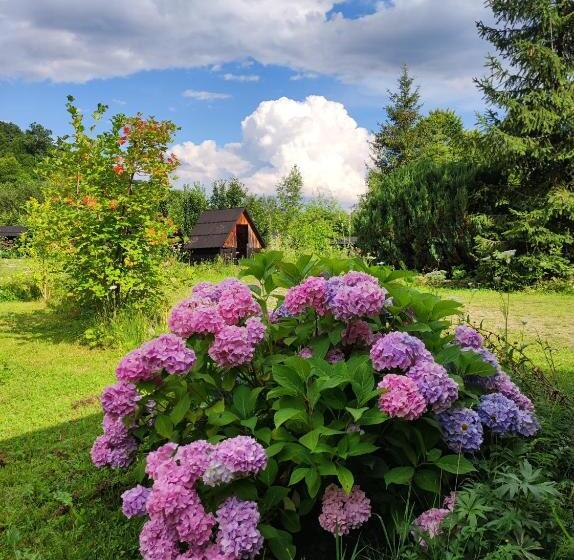 Cabană cu 1 Dormitor, Stara Khata карпати