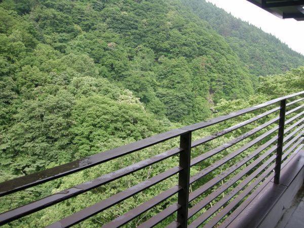 标准间带山景, Hiranoya
