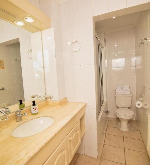 اتاق استاندارد, Apart Hotel Del Volcán