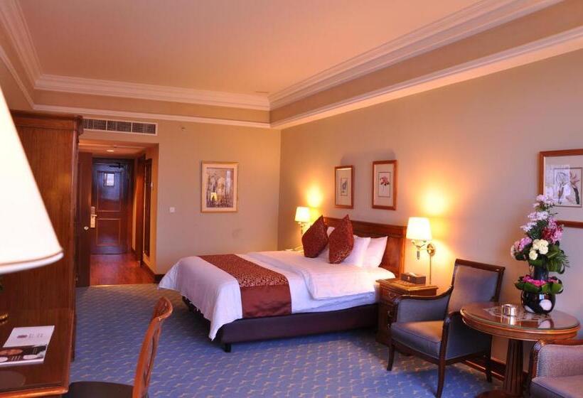 غرفة سوبيريور ذات إطلالة, Abha Palace