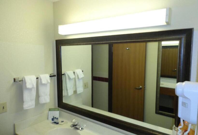 חדר סטנדרט, Americinn By Wyndham Bismarck