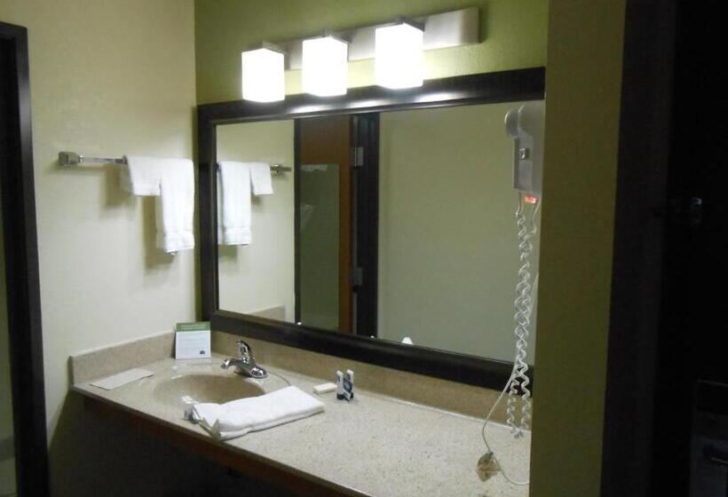 标准间, Americinn By Wyndham Grand Rapids