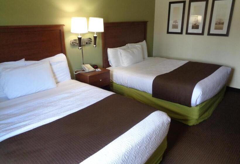 标准间, Americinn By Wyndham Grand Rapids