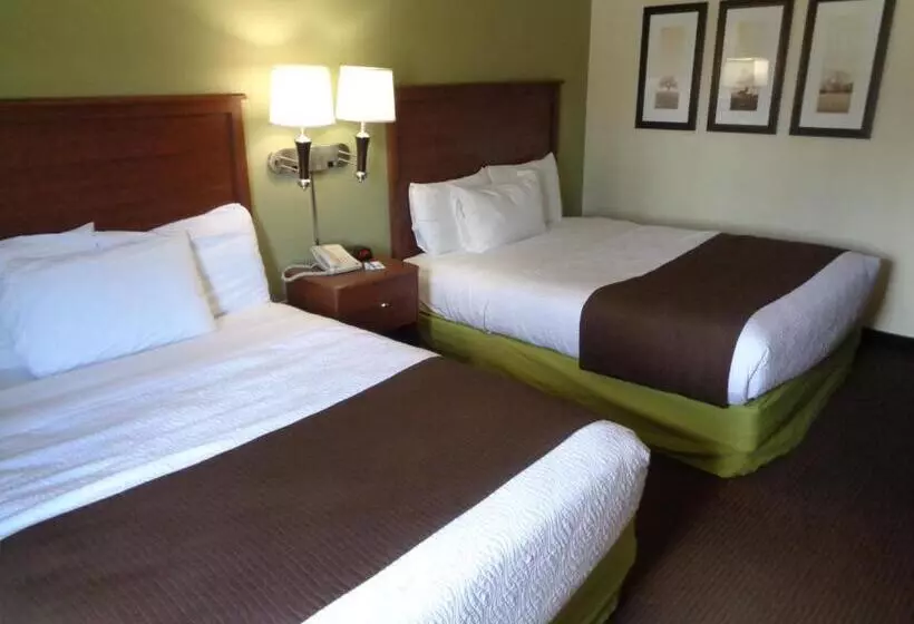 اتاق استاندارد, Americinn By Wyndham Grand Rapids