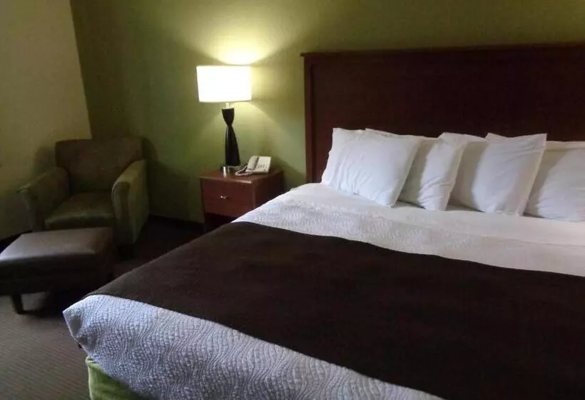 اتاق استاندارد با تخت بزرگ, Americinn By Wyndham Grand Rapids