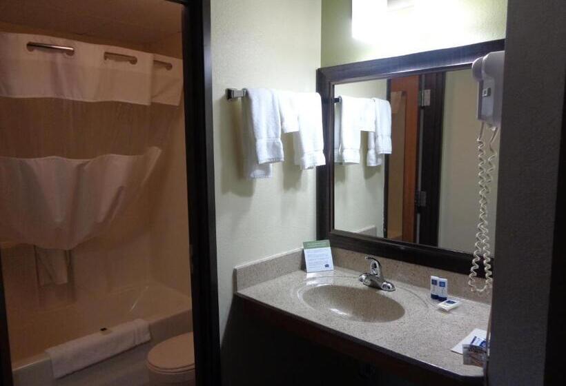 带大床的套房, Americinn By Wyndham Grand Rapids