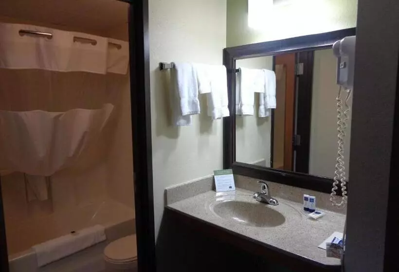 سوئیت با تخت بزرگ, Americinn By Wyndham Grand Rapids