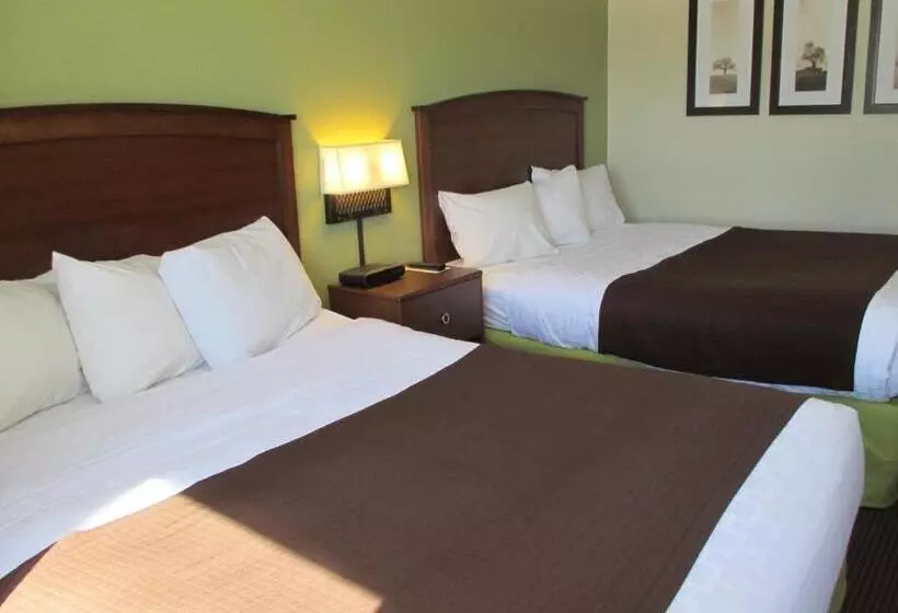 スタンダードルーム, Cobblestone Hotel & Suites   Wisconsin Rapids