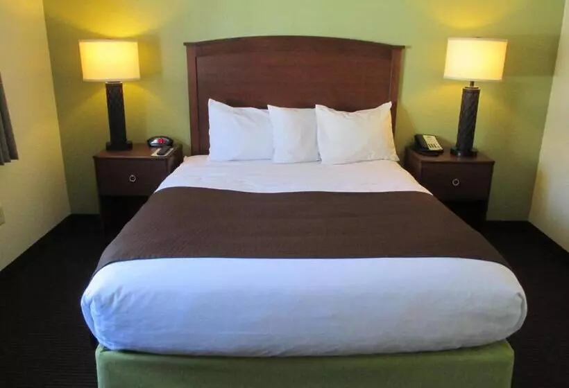 キングサイズベッドのスタンダードルーム, Cobblestone Hotel & Suites   Wisconsin Rapids
