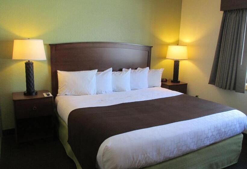 غرفة قياسية سرير كينج, Cobblestone Hotel & Suites   Wisconsin Rapids