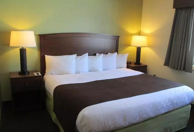 キングサイズベッドのスタンダードルーム, Cobblestone Hotel & Suites   Wisconsin Rapids
