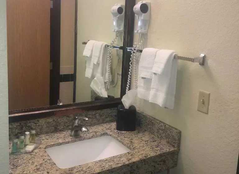 キングサイズベッドのスタンダードルーム, Cobblestone Hotel & Suites   Wisconsin Rapids