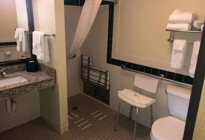 身障者適用スタンダードルーム, Cobblestone Hotel & Suites   Wisconsin Rapids