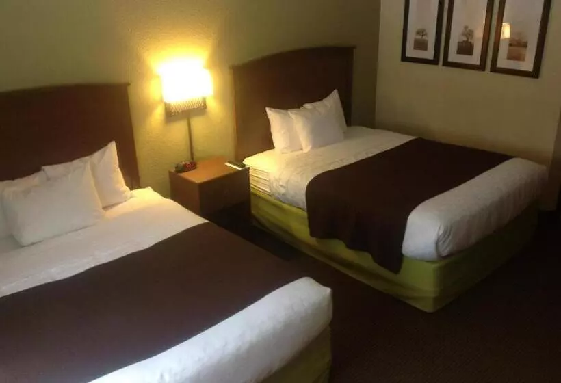 身障者適用スタンダードルーム, Cobblestone Hotel & Suites   Wisconsin Rapids