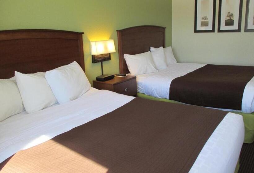 غرفة قياسية لذوى الاحتياجات الخاصة, Cobblestone Hotel & Suites   Wisconsin Rapids