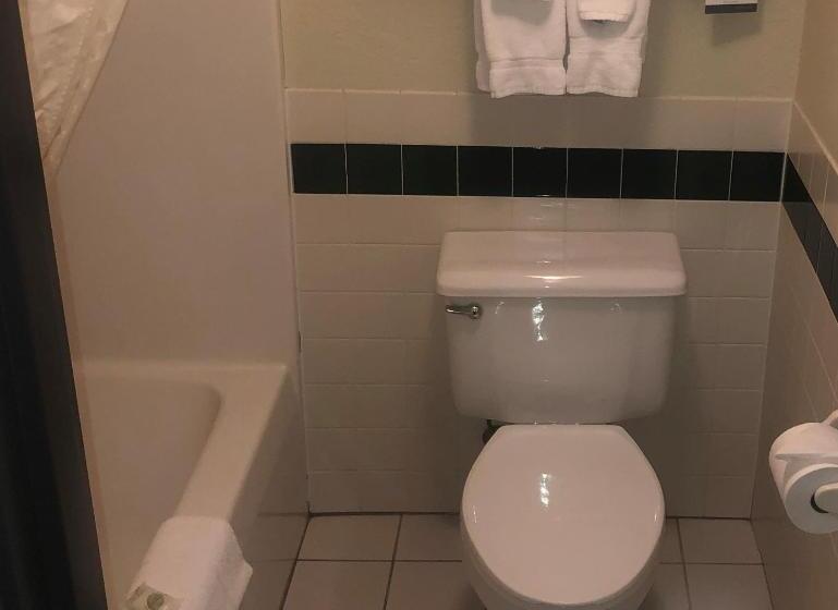 스위트 킹사이즈 침대, Cobblestone Hotel & Suites   Wisconsin Rapids
