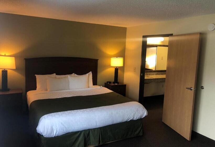 스위트, Cobblestone Hotel & Suites   Wisconsin Rapids