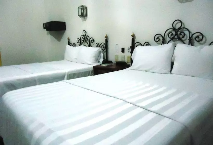 スタンダードルーム, Concierge Plaza Colima