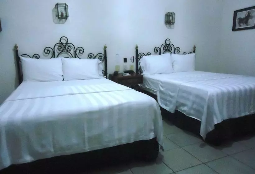 スタンダードルーム, Concierge Plaza Colima