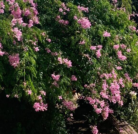 اتاق استاندارد با تخت بزرگ, Cosmos Tarragona