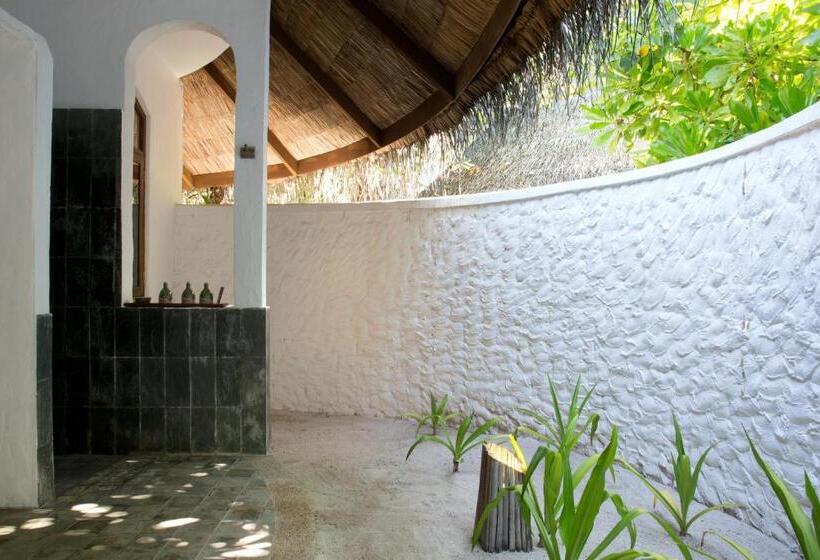 ویلای 1 خوابه, Coco Palm Dhuni Kolhu